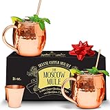 Benicci Moscow Mule Copper Mugs - 100% HANDCRAFTED - Food Safe Pure Solid Unlined Copper Mug 16 oz Gift Set with BONUS: Highest Quality Cocktail Copper Straws, Shot Glass and Spoon (Set of 2)