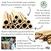 Jungle Straws 12 Pack Reusable Bamboo Straws 8