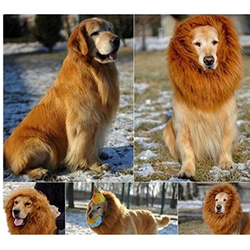 Xbes Pet Costume Lion Mane Wig with Ears Dog Fancy Dress Clothes Halloween Christmas Gift(Brown) - Image 5