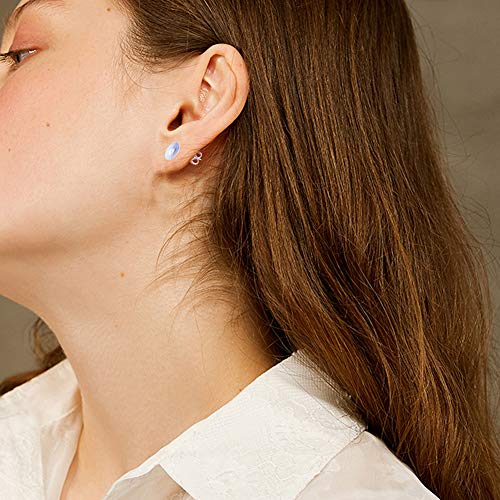 3 Hypoallergenic+Stainless+Earrings+Butterfly+Silicone