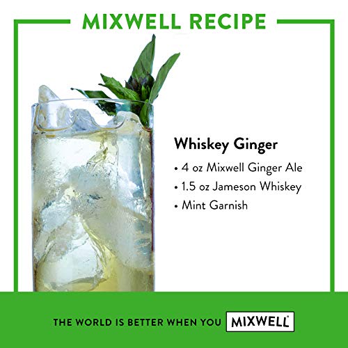 Mixwell Young Ginger Ale Premium Mixer for Drinks Made with Organic