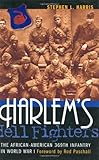 Harlem's Hell Fighters: The African-American 369th Infantry in World War I