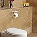 E-PRANCE Toilet Paper Holder with Shelf - Heavy Duty Bathroom Tissue Holder Toilet Roll Holder Wall Mount, Chrome
