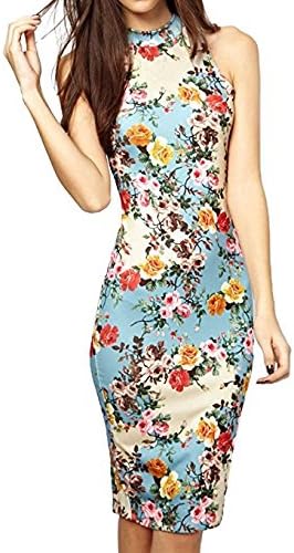Arctic Flower Summer Floral Printed Sleeveless Slim Fit Midi Sheath Tank Sun Dress (Colors, X-Large)
