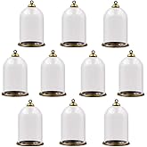 10-Piece Clear Tube Glass Globe Bottle Set with Findings - Hollow Glass Dome, Vial Pendant Charms (38x25mm Bronze Classic)