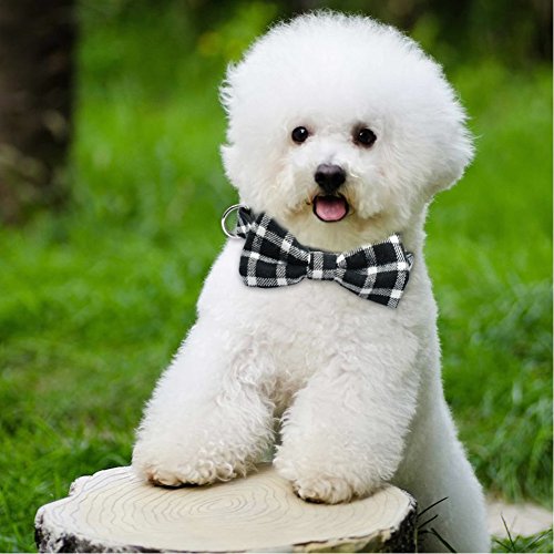 Stock Show 2Pcs/Pack Pet Dog Cat Fashion Bowtie Collar with Cute Detachable Bowknot Charm Pet Adjustable Classic Gentleman Plaid Collar for Small Medium Dog Puppy Cat Kitten Kitty, Black and Red