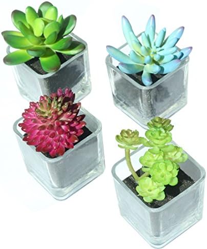Home Decor--Set of 4 small different Artificial Succulent Plants with Cube-Shaped Clear Glass Jars for Home decoration Office decoration