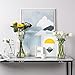 CASAMOTION Glass Vase for Flowers Hand Blown Glass Centerpiece Wedding Table Dining Room Living Kitchen Island Modern Farmhouse Home Decor Clear Cylinder 8” 10” 12” Inch Set of 3