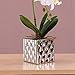 White Artificial Phaleanopsis Arrangement with Vase Decorative Orchid Flower Bonsai Table Centerpiece with Chrome plated flowerpot