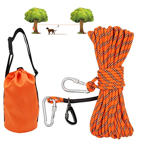 camping dog lead