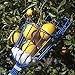 EVERSPROUT 24-Foot Fruit Picker (30+ Foot Reach) | Telescoping Easy-to-Attach Twist On Basket Design | Heavy-Duty, High-Grade Aluminum Extension Pole