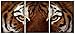 Natural art – Ferocity Tiger with Eye Staring Wall Art Painting Pictures Print On Canvas Animal The Picture for Home Modern Decoration