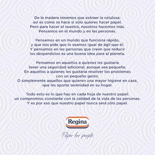 Maxi Rollo Papel de Cocina - Paquete de 2 Rollos, 100 Maxi Hojas Decoradas de 2 Capas, Equivalente a 6 Rollos Estándar, Extra Absorbentes, Envase de Papel Reciclable, 100% Certificado FSC