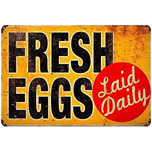 ERLOOD Fresh Eggs Laid Daily Metal Tin Sign Decor Art Chicken Coop Kitchen Cottage Farm 12 x 8
