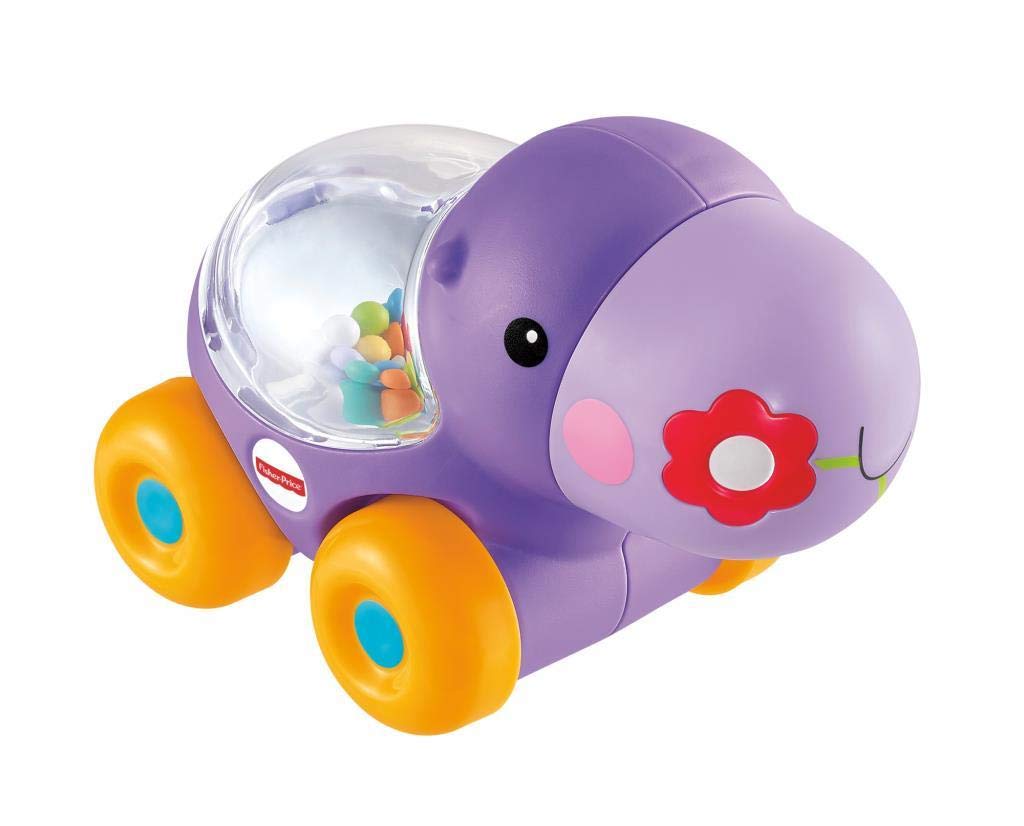 Fisher-Price Infant BGX30 Surprise Hippo Early Childhood Toy, Multi-Colour