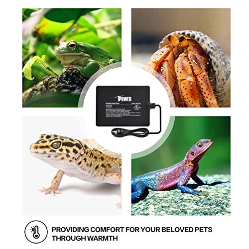 iPower Reptile Heat Pad 6X8 Inch 8W Under Tank Terrarium Warmer Heating