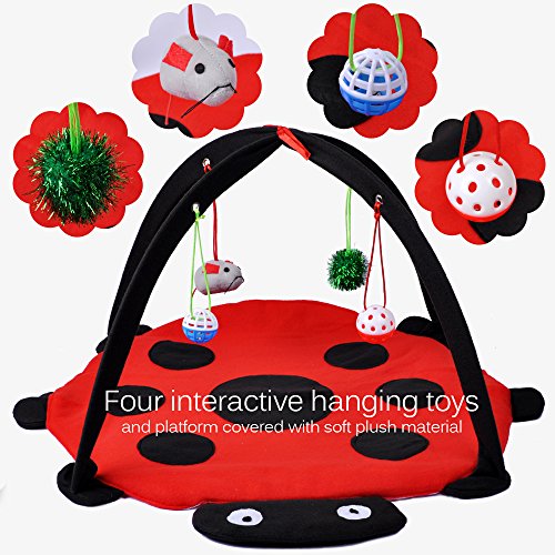 MyfatBOSS Cat Play Mat, Cat Activity Center with Hang Cat Toys Balls Mice, Foldable Cat