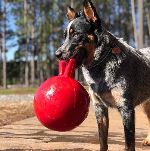 dog ball with handle