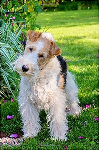 Buy Wire Fox Terrier Artified Pets Journal Notebook Diary 160