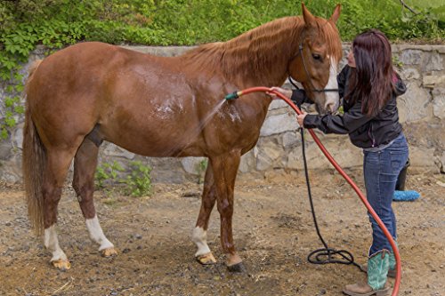 Swan Products Element ELCF34100 Lead-Free, Drinking Water Safe Contractor Farm Hose 100ft, 3/4" diameter, Red