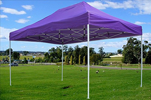 DELTA Canopies 10'x15' Pop up Canopy Wedding Party Tent Gazebo EZ Purple - F Model Commercial Frame