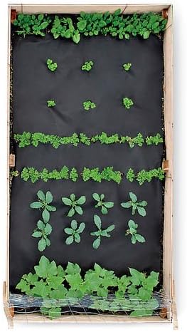 Smoothie SeedSheet, 4’ x 8’