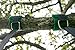 Outdoor Tree Swing Hanging Straps Sale- Holds Over 2,200 pounds Free Protection Straps Increases Safety & Versatility- Easy Install Hammock, Baby/Kid Swing & More Trees Sunshine Life Experience