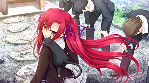 ノラと皇女と野良猫ハート2 ノラとと2 店舗特典 最安値情報 Ps4 Ps Vita Nintendo Switch 移植版 店舗別オリジナル特典 予約 限定版 まとめてチェック Daystar