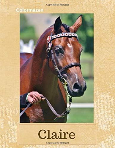 Claire: Bay Horse Personalised Notebook (Large) (Bay Horse Personalised Notebooks) Paperback – March 7, 2019