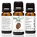 BioFinest Pine Oil - 100% Pure Pine Essential Oil - Premium Organic - Therapeutic Grade - Best For Aromatherapy - Improve mood - Heighten Awareness - FREE E-Book (10ml)