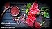 Dualspices Hibiscus Flowers WHOLE PETALS - 100% CERTIFIED Organic Hibiscus Flowers Tea 1 Pound, Helps Lower Blood Pressure, Makes Iced Tea Caffeine Free