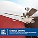 Hyperikon Indoor Ceiling Fan with Remote Control - 52-inch Brushed Nickel Ceiling Fan Fixture, Energy Star - Five Wood Blades and Frosted Dome Light - Bulb Not Included