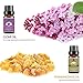 Lagunamoon Essential Oils  Top 8 Gift Set Pure Essential Oils Gift Set for Diffuser, Humidifier, Massage, Aromatherapy, Skin & Hair Care
