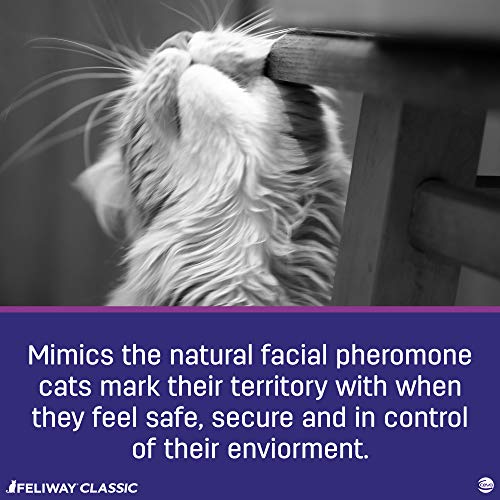 3 Feliway+Feline+Behavior+Spraying+Scratching