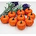 Ehdching Pack of 16 Artificial Realistic Fall Harvest Mini Pumpkins for Halloween Home Decoration (Pumpkin Color)