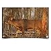 Birchwood Casey 37481 EZE-Scorer Deer 23x35