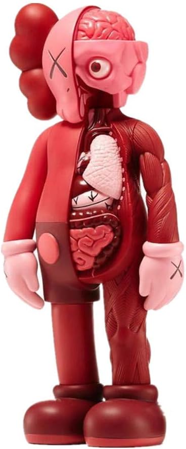Summerweather Prototype KAWS Original Fake Dissected Companion Model Art Toys Action Figure Collectible Model Toy 8" 20cm (Red)