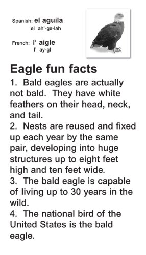 Animal Flash Cards with Fun Facts with Spanish and French Translations for each Animal By Flash of Brilliance