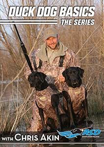 hunting dog equipment