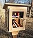 Tiny Library, with window walls. Handmade using Cedar