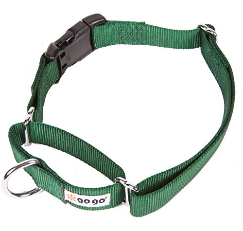 GoGo Pet Products GoGo 3/4-Inch Martingale Dog Collar, Medium, Hunter Green