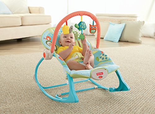 turtle bouncer fisher price