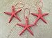 Starfish Christmas Tree Ornaments (Coral)