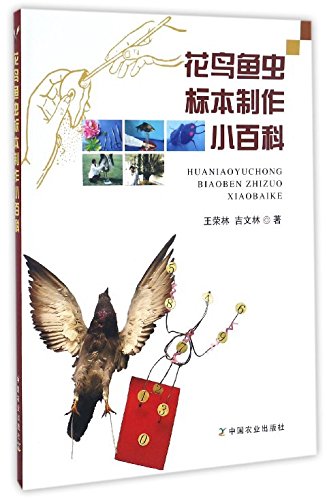 花鸟鱼虫标本制作小百科 王荣林 吉文林 Amazon Com Books