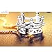 Emma Manor EM 14k White Gold Plated Princess Crown Pendant Necklace for Women