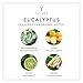 Thymes - Eucalyptus Luxurious Bath Soap - Naturally Conditioning Bar Soap with Eucalyptus Oil and Vitamin E - 6 ounce