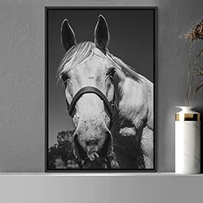 signwin Framed Canvas Wall Art High Contrast Horse...