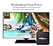 Mega1Comp - MXQ Pro 4K Android Smart TV Box 1G+8G Amlogic Quad Core CPU WiFi H.265 Internet Media Player OTT TV Box