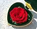 Valentines Day Gifts for Her Women, Preserved Real Flower with Gift Box, Anniversary Women Gifts for Her Wife Girlfriend Enchanted Real Rose on Birthday Valentine’s Day Anniversary Mother's Day