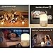 MYMAHDI Portable Wireless Bluetooth 4.0 Speaker and LED Light Lamp with Quality Sound, Touch Light Sensor, MP3 Player, Micro TF SD Card, AUX, USB, 4000mAh Battery-Bamboo Design